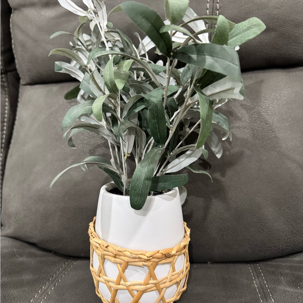 Artificial Greenery in White Ceramic Pot with Woven Accent